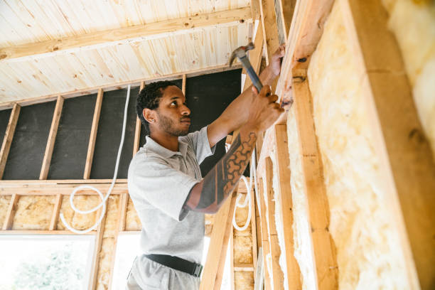 Best Attic Insulation Installation  in Clara City, MN